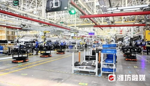 穩扎穩打有干頭 濰坊高新區 讓更多企業乘 數 而上